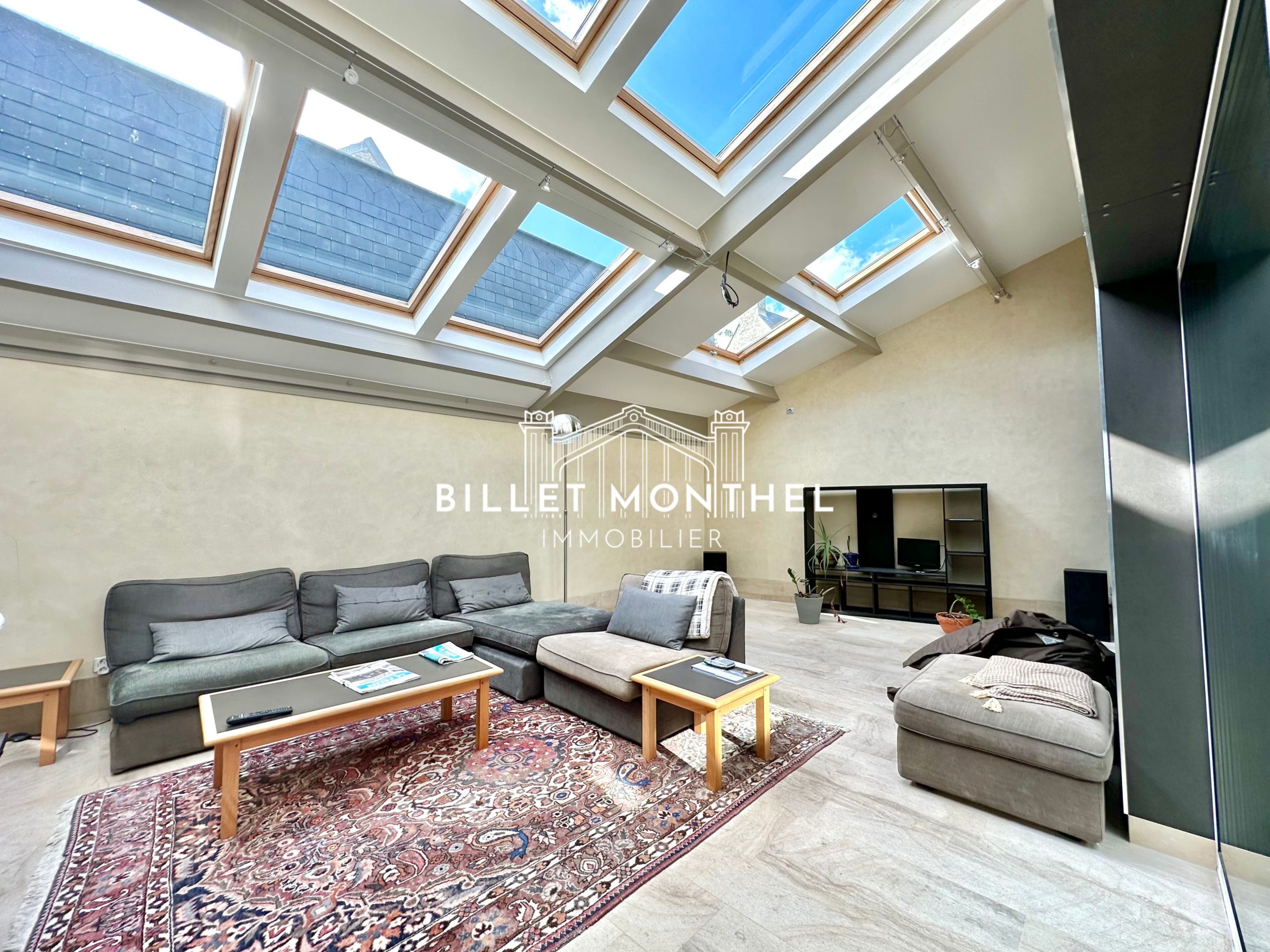 extension-canapé-salon-bar-maitre-saint-sauveur-à-vendre