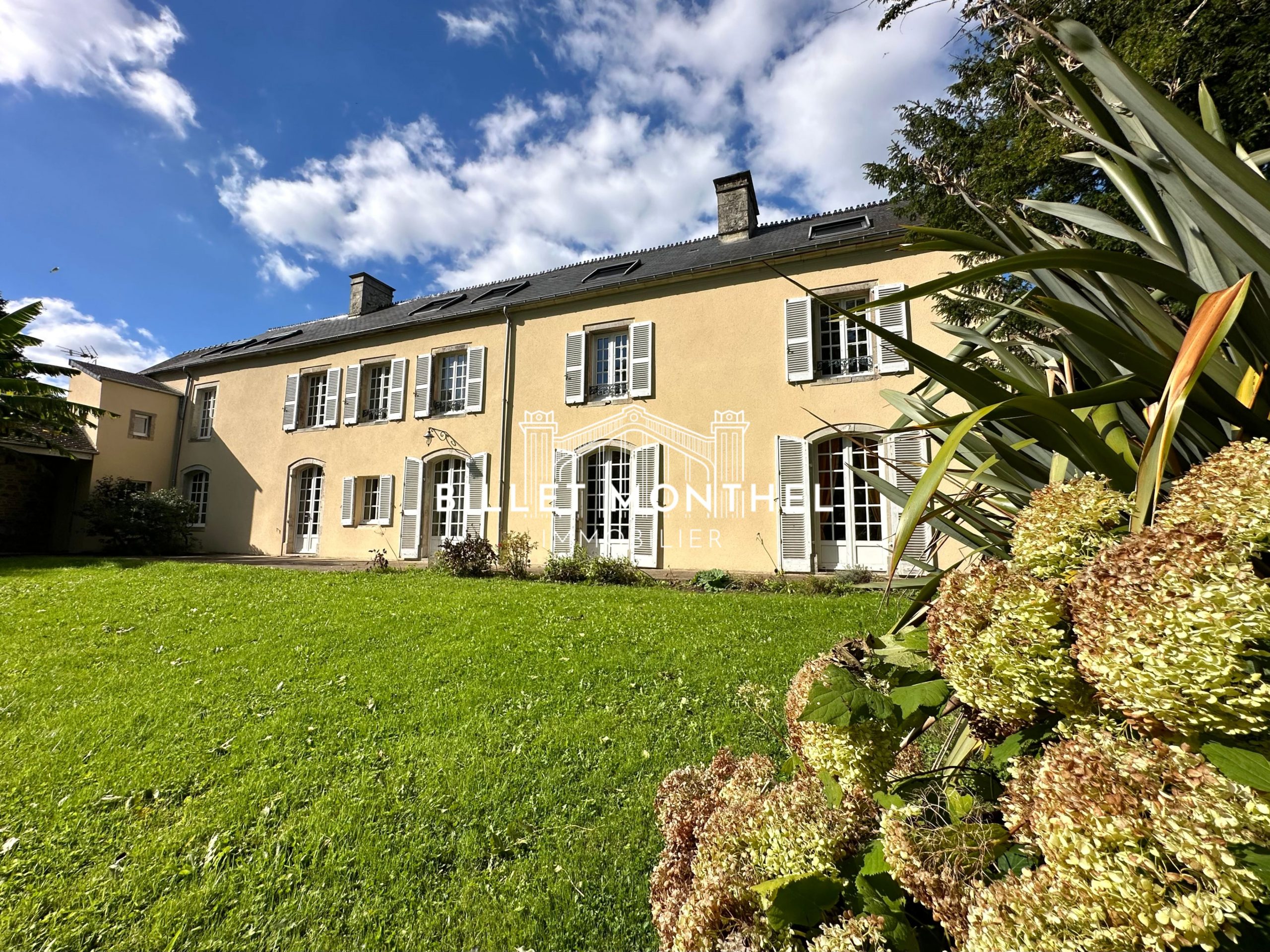 vue-parc-hortensias-jardin-terrasse-maison-maitre-saint-sauveur-à-vendre