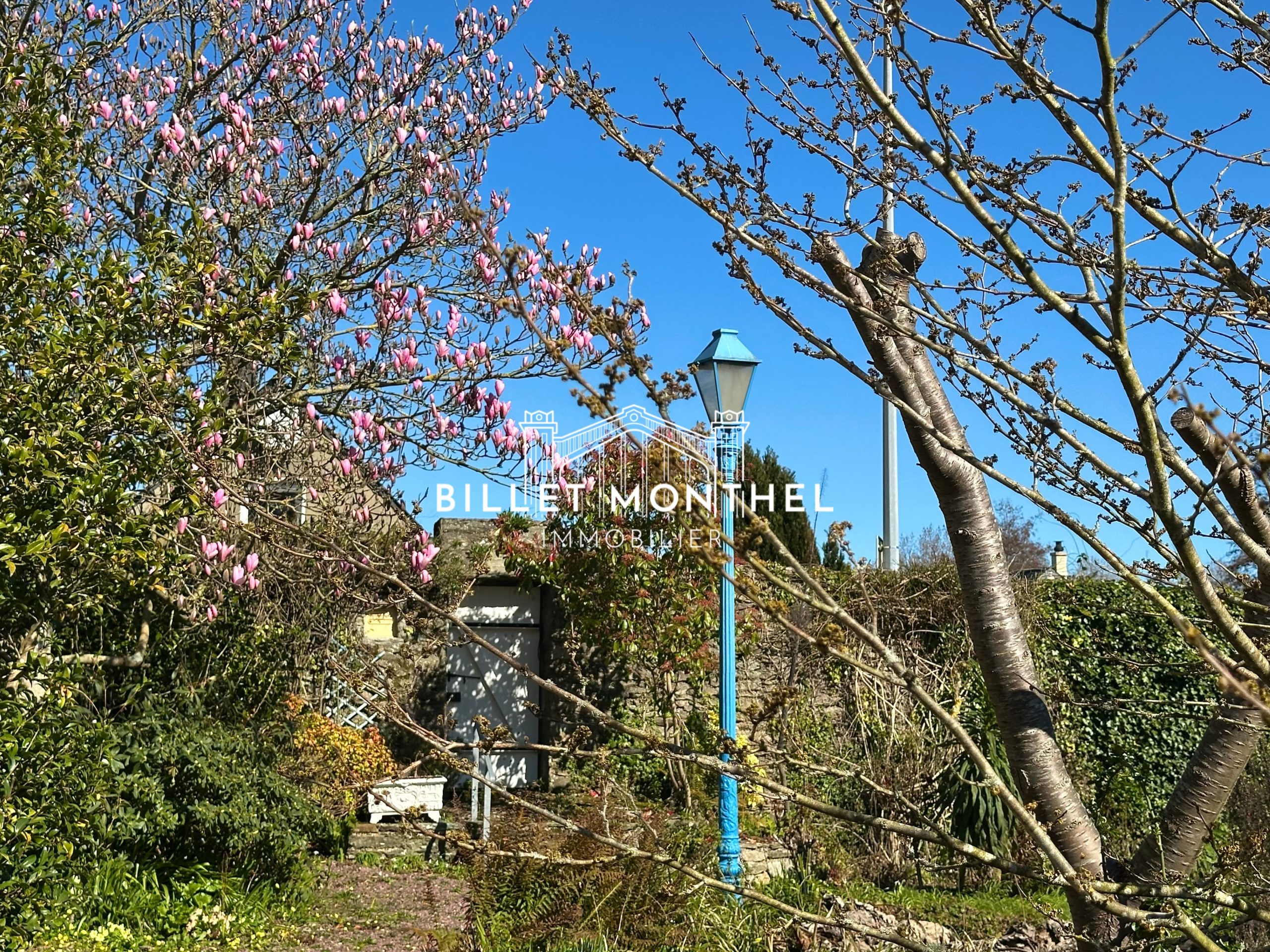 photo-jardin-lampadaire-magnolia-maison-maître-propriété-querqueville