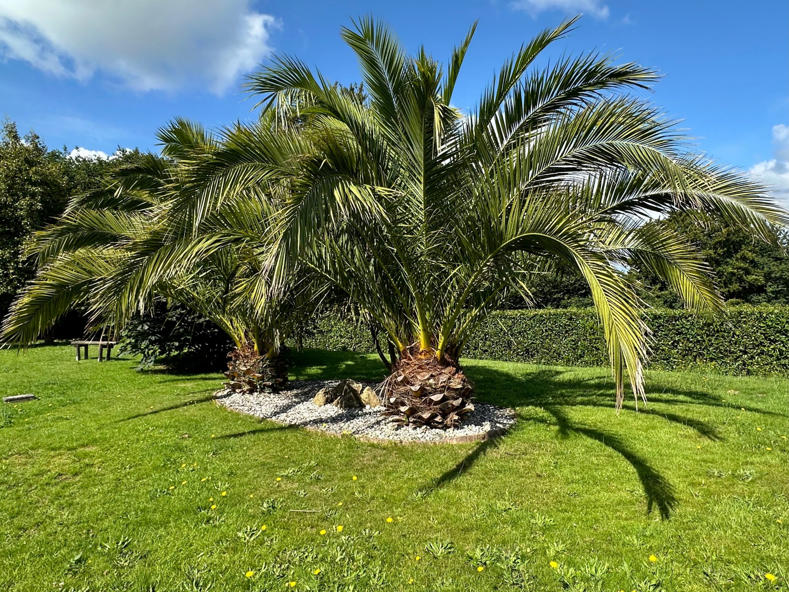 jardin-paysager-mise-en-location-brix-maison-individuelle